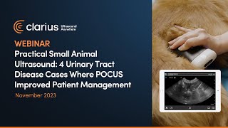 4 Urinary Tract Disease Cases Where POCUS Improved Patient Management [upl. by Haisi]