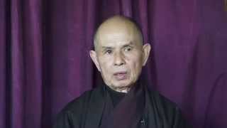 Thich Nhat Hanh prendre soin de lenfant intérieur [upl. by Harahs]