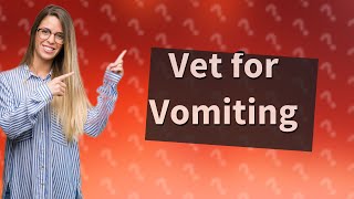 How many times should a dog vomit before going to the vet [upl. by Jessi321]