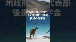 約27万円相当💰パース留学奨学生募集中！まもなく募集締め切り 英語 オーストラリア 留学費用 short perth [upl. by Ydnelg526]