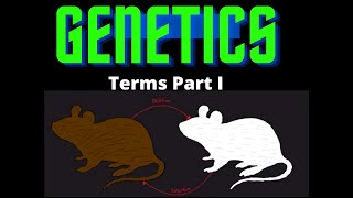 USMLE Step 1  Lesson 31  Genetics Terms Part I [upl. by Kho]