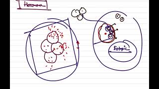 General Pathology Neoplasia Tumor Markers Dr Murtoza Shahriar [upl. by Cibis44]