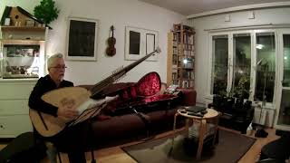 New Buechenberg theorbo came just  first touches [upl. by Hedelman]