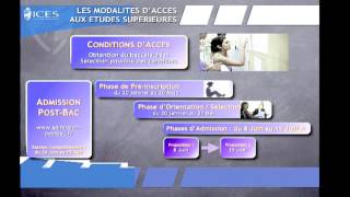 Faire des études supérieures  lUniversité organisation et validation  Mon parcours scolaire [upl. by Yusem3]