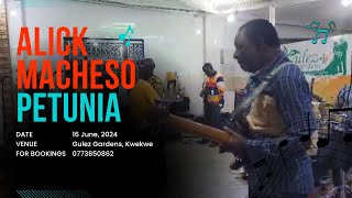 Alick Macheso Performs Petunia At Gulez gardens Kwekwe on 15 June 2024 [upl. by Caterina]