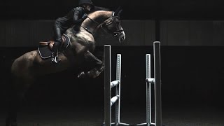 HampM Life  Sports Studio Horse Jumping with Malin Baryard [upl. by Justen383]