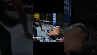 The Most Insane Flying Knee Knockout in MMA [upl. by Lunette173]