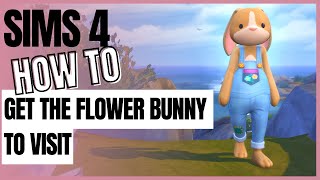 Sims 4 How To Get The Flower Bunny To Visit Seasons Required [upl. by Ferren]