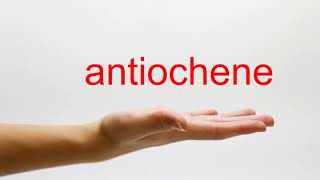 How to Pronounce antiochene  American English [upl. by Raveaux]