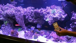 800 Aquarium pt6 PAR Readings using Apogee MQ500 [upl. by Lemrac]