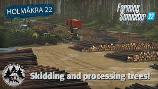 MAKING THE BIGGEST LANDING EVER  FS22  Forestry  Holmåkra 22  Timelapse  E12 [upl. by Hueston558]