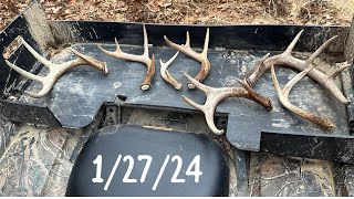 Shed hunting 2024 January 27th Antlers are starting to drop in NW PA [upl. by Rehtaef]