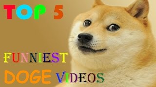 Top 5 Funniest DOGE videos [upl. by Pennebaker]