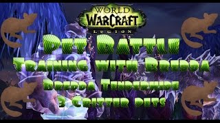 Bredda Tenderhide 3 Critter Pets  Family Familiar  Mousing Around  Legion Achievement [upl. by Akienat]