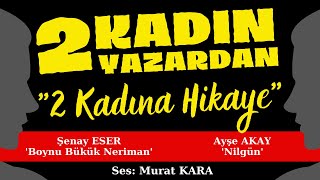 quotBoynu Bükük Nerimanquot quotNilgünquot Türk Edebiyatından Hikayeler  Sesli Kitap Dinle [upl. by Gannes]