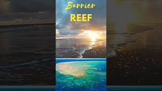 Coral Reef  barrier reef  fringing reefs  Atolls shorts shortsvideo environment [upl. by Bradstreet]