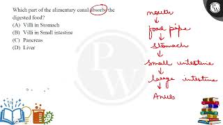 Which part of the alimentary canal absorbs the digested food [upl. by Yle]