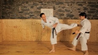 How to Do Side Kicks  Karate Lessons [upl. by Jamima]