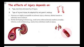 Cell Injury  Hypoxia  Mechanisms of Cell Injury  General Pathology  Bangla [upl. by Raynor]