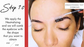 Eyebrow tinting special step by step tutorial  Thuya Professional [upl. by Nosdivad]