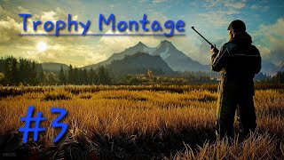 theHunter Call of the Wild Trophy Montage 3 [upl. by Caritta]