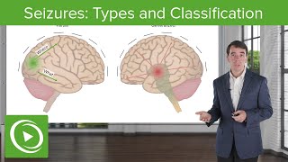 Seizures Types and Classification  Clinical Neurology [upl. by Medora117]