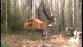 Tigercat 860C Feller Buncher cutting Poplar trees Hudson Hope BC [upl. by Enom]