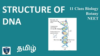 Locomotion and Movement  Sliding filament theory [upl. by Nnoryt341]