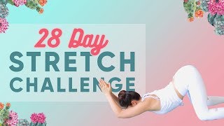 28Day Stretch Challenge You in [upl. by Ydoc]