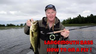 How to Catch BIG Largemouth Bass On Top with Flies [upl. by Levey]