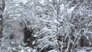 First winter snow in the Hogsback [upl. by Forkey]