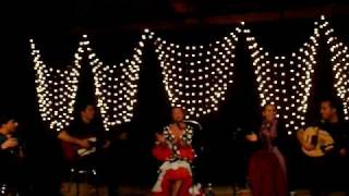 Flamenco Fusion  TangosArabic Medley Ba7lam Beek Fog Al Nakhal Qaduk Al Mayas [upl. by Anaet320]