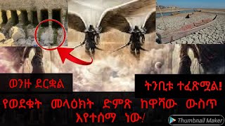 á‰µáŠ•á‰¢á‰± áˆŠáˆáŒ¸áˆ áŠá‹ á‹ˆáŠ•á‹™ á‹°áˆ­á‰‹áˆ 4á‰± áˆ˜áˆ‹á‹•áŠ­á‰µ á‹­áˆá‰³áˆ‰ á‹µáˆáŒ»á‰¸á‹ á‰ á‹‹áˆ»á‹ á‹áˆµáŒ¥ á‹­áˆ°áˆ›áˆ á‰ á‰áˆ«áŠ• áˆáŠ• á‰°áŒ»áˆ Abel birhanu DrRodas [upl. by Attenrev]