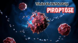 Patologia Piroptose [upl. by Desai]