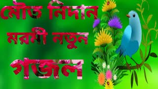 মৌত নিদান মরমী নতুন গজল শুনুন ভালো লাগবে ‌। Mouto Nidan kale re mon । New gojol। Singer N Sultana।। [upl. by Woodward]