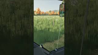 Cabin View Windrowing Grass  Short farmingsimulator22 farming simfarming hay grassland [upl. by Nur]