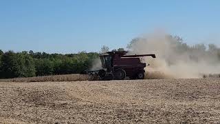 Soybean Harvest 2024 Continues [upl. by Naimerej740]