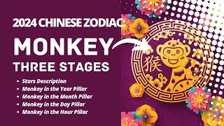 2024 CHINESE ZODIAC  MONKEY SUB [upl. by Bethanne]