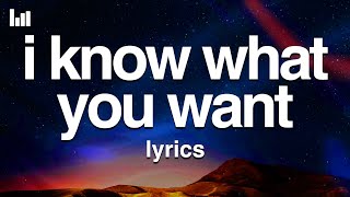 Busta Rhymes Mariah Carey Flipmode Squad  I Know What You Want Lyrics [upl. by Bhatt]