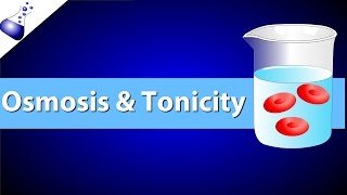 Osmosis and Tonicity [upl. by Ocnarf]