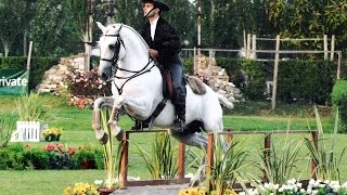 Working Equitation a Fun Way to Train Seriously  Pedro Neves clinic [upl. by Kile]