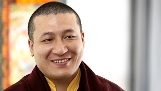 What is Buddhist meditation ► HH 17th Karmapa on how to meditate [upl. by Ened667]