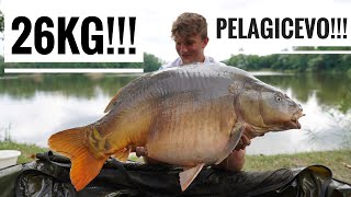 3 DWUDZIESTKI W 15H  Nowe PB 26 kg  Jezioro Pelagicevo  Lake Pelagicevo [upl. by Ettezyl455]