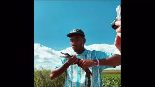 Tyler The Creator  911 Frank Ocean’s Chirp Chirp Loop Slowed Down [upl. by Nerahs564]