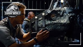 Jurassic World Dinosaur Escape Song  Live Action Music Video [upl. by Nwahsuq]