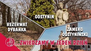 GOSTYNIN ZAMEK GOSTYNIŃSKI REZERWAT DYBANKA CO WARTO ZOBACZYĆ [upl. by Marcie583]