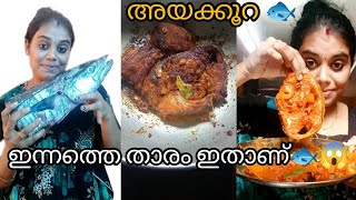 2 മാസത്തെ ഇടവേളയ്ക്കു ശേഷം കയ്യിൽ കിട്ടിയ മുത്താണ്😱🐟Fish karthusworldminivlogFishfry recipevlog [upl. by Iroc241]