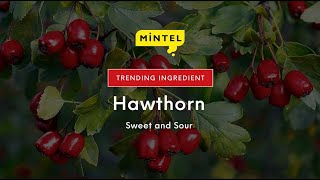 Mintel Trending ingredient Hawthorn [upl. by Darcia114]