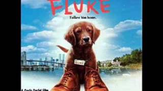 Fluke OST 13 Memories of Another Life [upl. by Harmonie731]