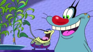 NEW FRIEND  Oggy and the Cockroaches S02E09 BEST CARTOON COLLECTION  New Episodes in HD [upl. by Nej]